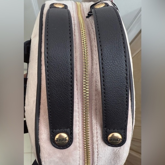 NWT “The Key to Juicy” Medium Backpack in Dusty Blush main image 4
